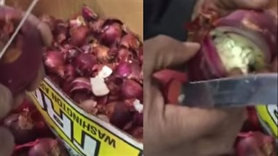 القبض على عصابة تهرب المخدرات.. بهذه الطريقة العجيبة