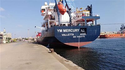 هل تتسبب الحرب الروسية في ارتفاع أسعار القمح؟