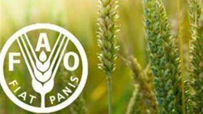 فاو: أسعار الغذاء على مستوى العالم سجلت ارتفاعًا قياسيًا في فبراير