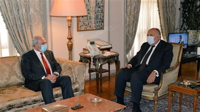 وزير الخارجية المصري يؤكد دعم مصر المتواصل للقضية الفلسطينية