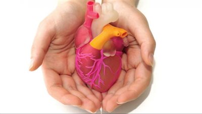 باحثون يكشفون عن دواء واعد لمحاربة السمنة والوقاية من أمراض القلب