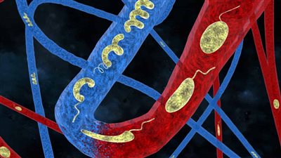 بغرض تسريع العلاج.. استخدام روبوتات هجينة متناهية الصغر لحقن الدواء داخل الجسم
