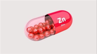 مركز ألماني يسلط الضوء على الفوائد الصحية للزنك