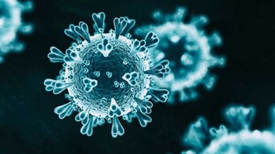 مصر.. 8 وفيات و854 إصابة جديدة بكورونا