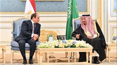  السعودية ومصر يعلنان عزمهما على تعزيز التعاون تجاه جميع القضايا السياسية