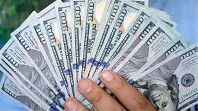 استقرار متوسط سعر الدولار في مصر اليوم الأحد 