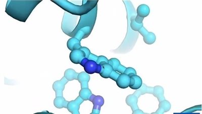  علماء بريطانيون يكشفون 16 تغييرًا في الحمض النووي لدى المرضى المصابين بكورونا