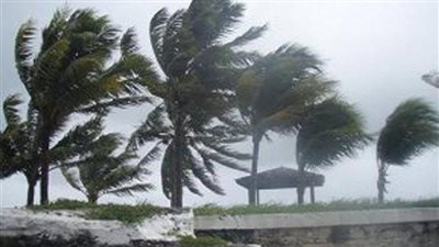 الرياح العاتية تقطع الكهرباء عن 5 آلاف منزل في كندا