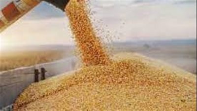  روسيا تستأنف تدريجيًا تصدير القمح من موانئها على البحر الأسود