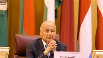 كيف نجح أبو الغيط في صون قضايا الأمة منذ توليه منصبه بالجامعة العربية؟