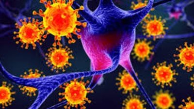 تطوير لقاحًا يمكن أن يقي من فيروس نيباه القاتل في غضون ثلاثة أيام فقط