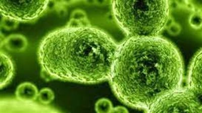 ماذا وراء الالتهابات التي تحدث ما بعد كوفيد طويل الأمد بالخلايا المناعية الضامة؟