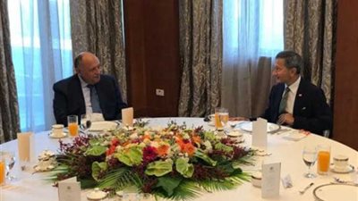 وزير الخارجية المصري: مهتمون باستمرار تطوير العلاقات الوطيدة مع سنغافورة