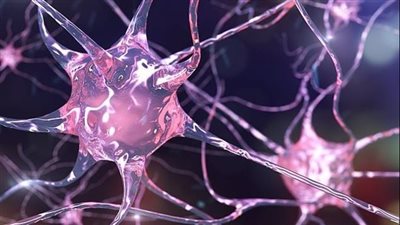 باحثون ينجحون في التعرف على خلايا عصبية في مخ الانسان تتجاوب مع الغناء فقط