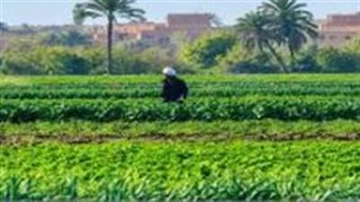 عيد الفلاح المصري 2026.. حكاية 9 سبتمبر من ثورة عرابي إلى الإصلاح الزراعي
