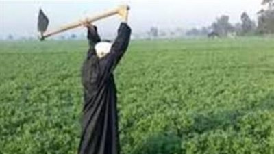 حياة كريمة في الريف.. كيف تساند مشروعات الدولة الفلاح والمجتمعات الزراعية؟