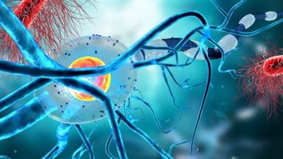 اكتشاف فيروس القراد الآسيوي طويل القرون ALTNV.. أعراضه ومخاطره الصحية