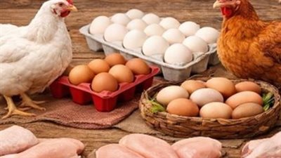 أسعار الفراخ اليوم.. الساسو بـ99 والبلدي بـ107 جنيهات للمستهلك