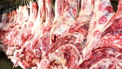 سعر كيلو اللحمة اليوم.. تعرف على أسعار الضاني والبتلو والكندوز في الأسواق