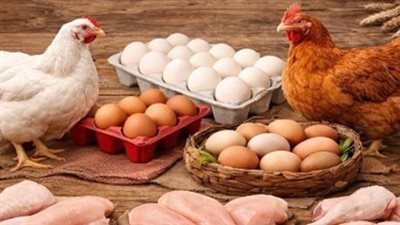 قبل شراء وجبة الغداء.. أسعار الفراخ اليوم كاملة من المزرعة إلى المستهلك