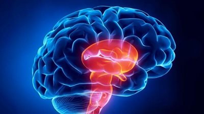 باحثون يكشفون عن أنفاق 