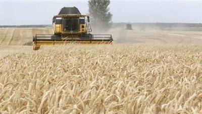 مستشار رئاسي بأوكرانيا يؤكد أن بلاده قد لا تنتج محاصيل كافية للتصدير بسبب الحرب