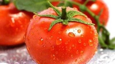 دراسة تكشف ما يحدث للجسم عند تناول الطماطم يوميا