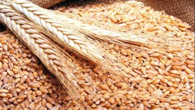 العراق يكشف أن مخزون القمح حاليًا لا يغطي استهلاك أكثر من ثلاثة أشهر