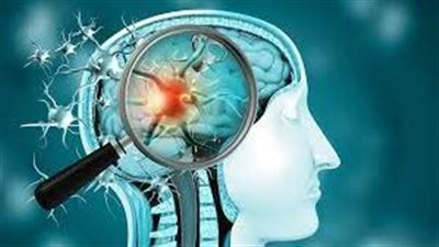 دراسة: فيروس كورونا لا يتكاثر في الدماغ لكن عندما يصل إليها يؤدي إلى استجابات مناعية