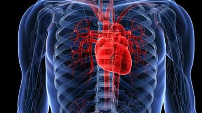 دراسة تكشف عن حلقة مفرغة بين متلازمة التمثيل الغذائي وضعف المناعة