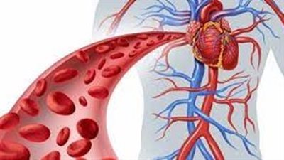  العوامل التي تدمر الأوعية الدموية.. ما هي؟
