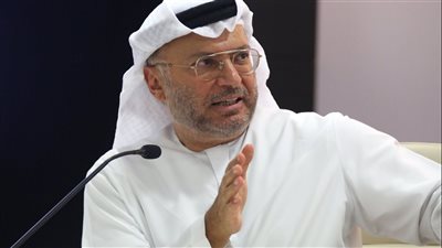 قرقاش يؤكد حرص بلاده على تعزيز علاقاتها مع دول رابطة الآسيان 