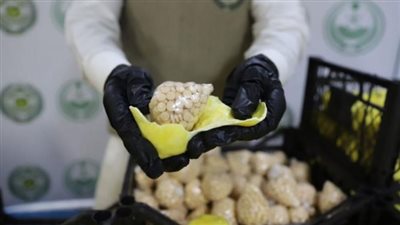 السعودية.. ضبط مخدرات مخفية في شحنة ليمون