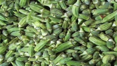 مفاجأة.. البامية قادرة عن تنقية مياه الصرف من البلاستيك الدقيق