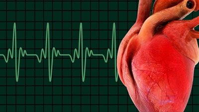 ما هي الأطعمة التي تحافظ على صحة القلب؟