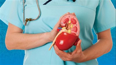  باحثون يطورون طريقة لتفتيت حصى الكلى الكبيرة بموجات فوق صوتية عالية السعة