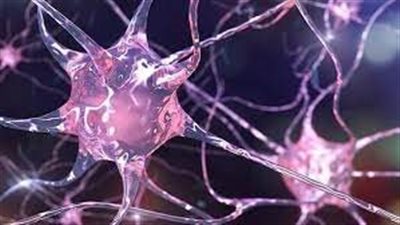  التعرف على خلايا عصبية في مخ الانسان تتجاوب مع الغناء فقط