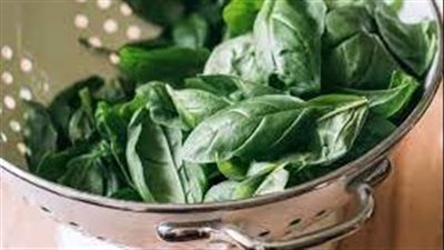 خبيرة روسية: السبانخ يساعد على الحفاظ على مستوى طبيعي لضغط الدم