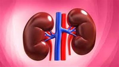 طبيب روسي: الاستيقاظ المتكرر ليلا قد يكون أحد أعراض ضعف وظائف الكلى