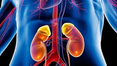 علامات مبكرة لسرطان الكلى
