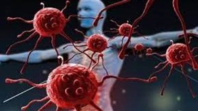  الأطعمة الصغيرة التي قد تساعد في متابعة حياة أطول لأنها قد تمنع السرطان 