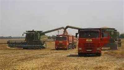  الاتحاد الوطني الإيطالي للمزارعين: 100 ألف مؤسسة إنتاجية زراعية في البلاد مهددة بالإغلاق