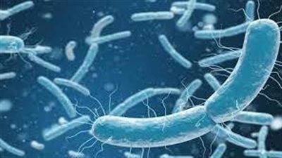 علماء بريطانيون يتوصلون لمضاد حيوي يمكن أن ينقذ ملايين الأرواح في أنحاء العالم