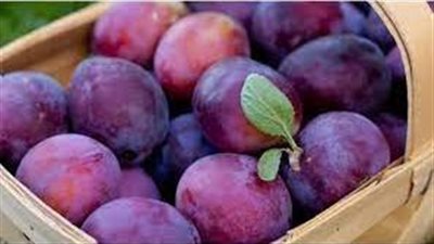 دراسة تكشف عن التأثير الإيجابي لاستهلاك البرقوق