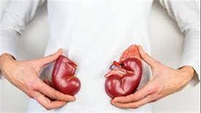 تقنية جديدة تستخدم الموجات فوق الصوتية الإنفجارية قادرة على سحق حصوات الكلى بسرعة