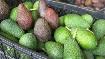 دراسة: تناول الأفوكادو مرة واحدة في الاسبوع يقلل خطر الإصابة بأمراض القلب