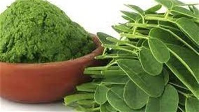  أبرز فوائد المورينجا؟