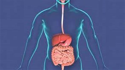 ما هي علامات سوء صحة الأمعاء؟