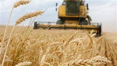 ماذا وراء توقف صادرات الحبوب الأوكرانية؟