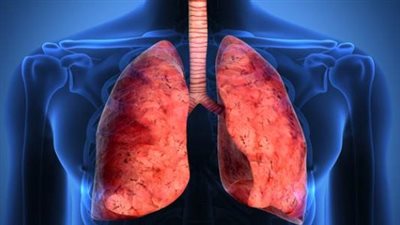 علماء في جامعة إلينوي بشيكاجو يطورون علاجا للتليف الرئوي